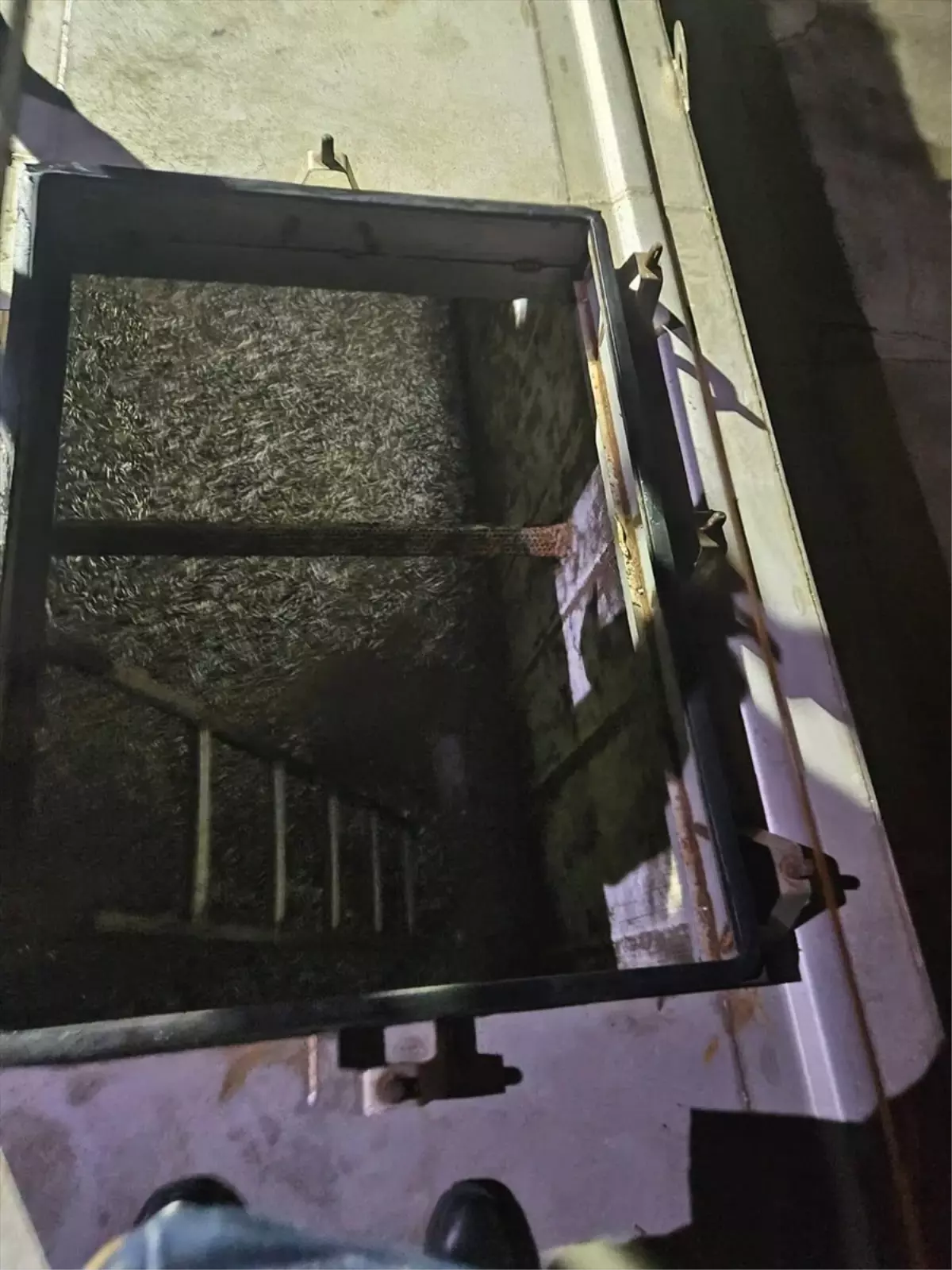 Trabzon’da 11 Ton Hamsiye El Konuldu