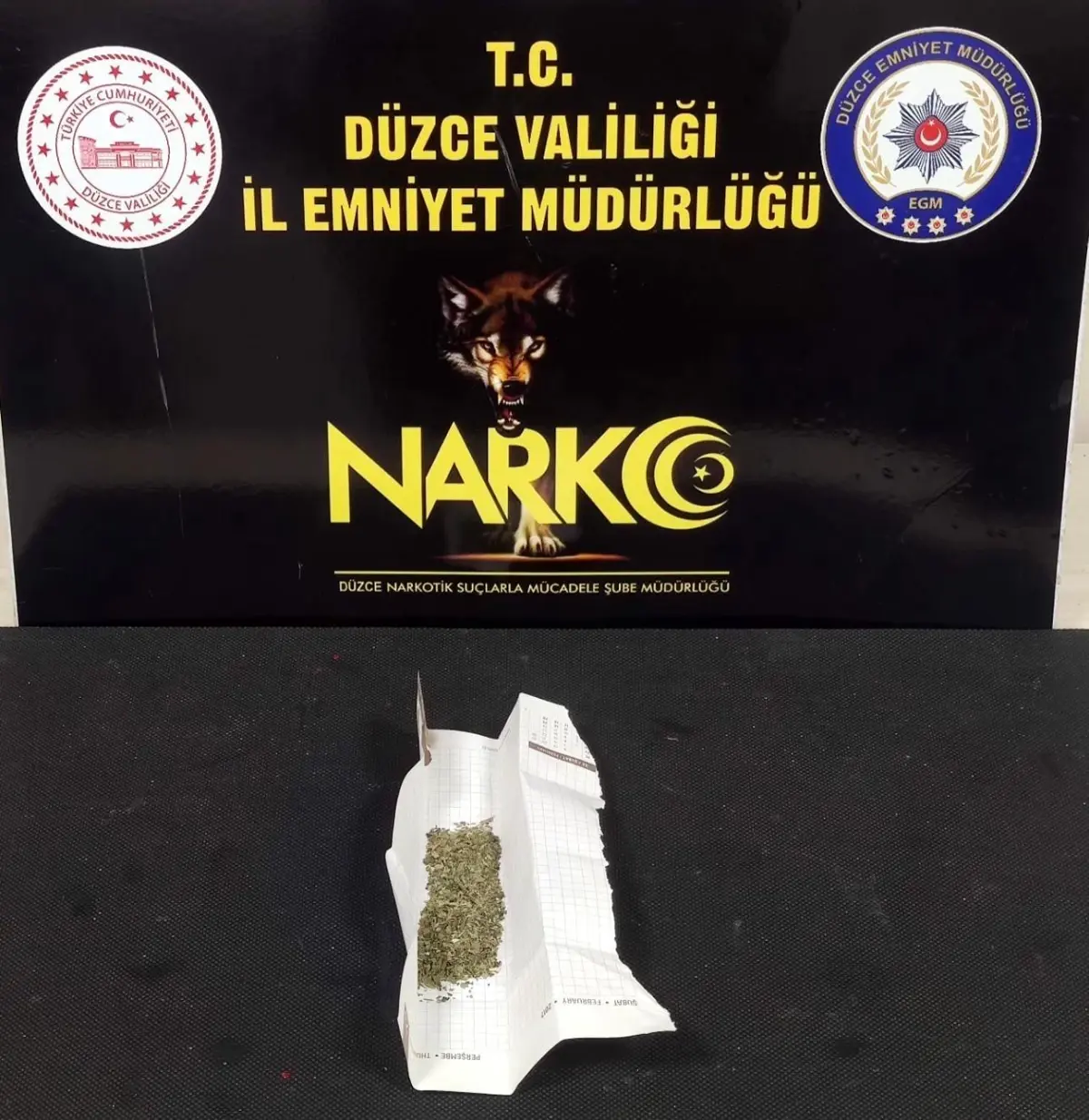 Düzce’de Uyuşturucu Satıcısı Tutuklandı